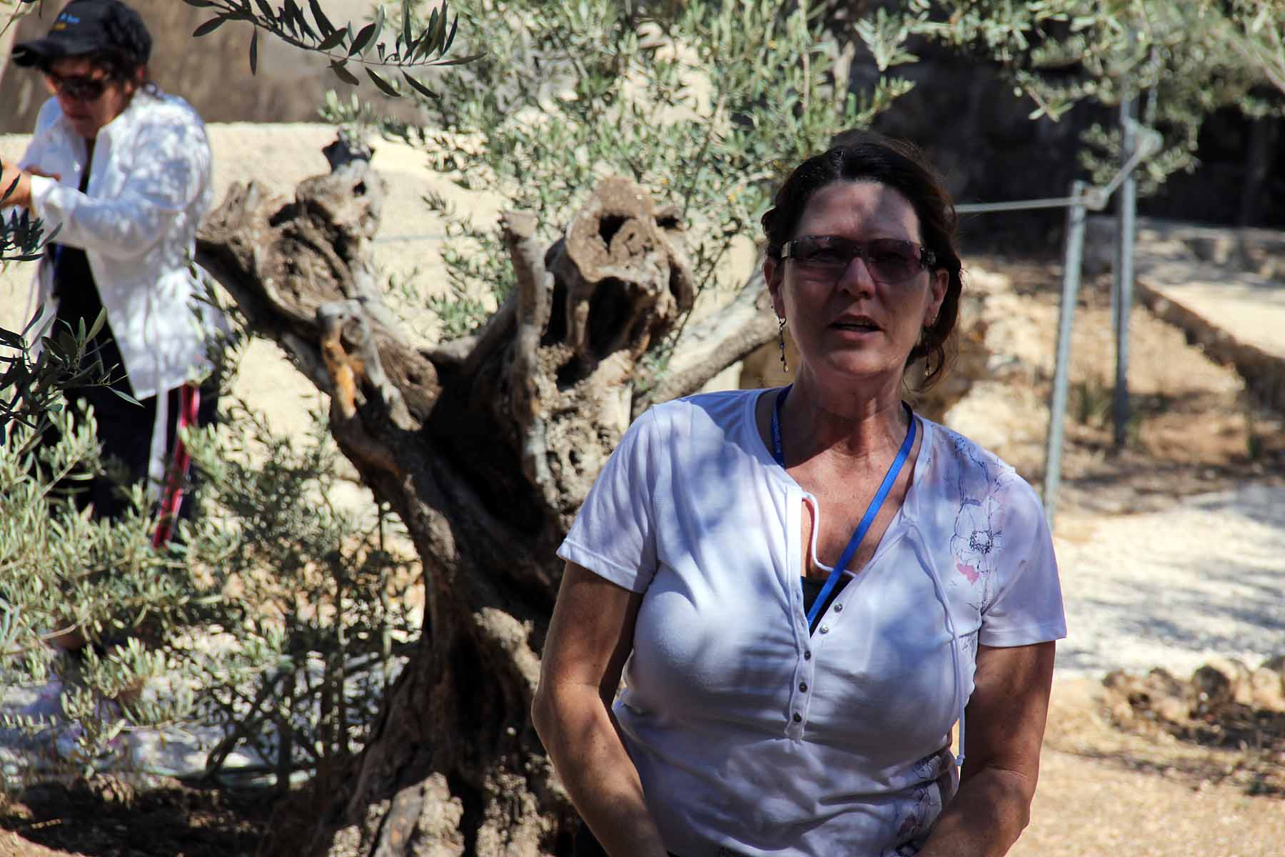 Gethsemane image 21
